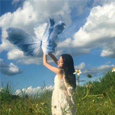 29片棕榈叶